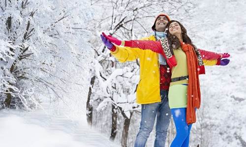 Taxi Service to Shimla